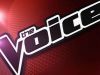 The Voice of HollandLiveshow 2