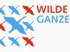 Wilde Ganzen9-7-2023